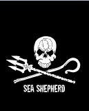 Sea sheperd