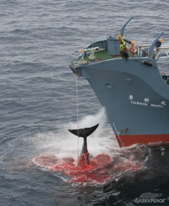 een-jachtschip-van-de-japanse-3